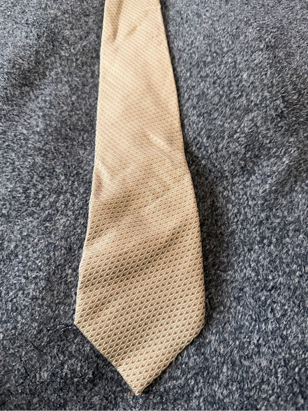 Covington Beige Textured Silk Tie